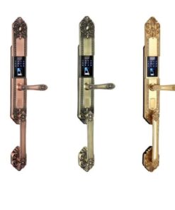 Khóa điện tử Kassler KL-979/Khóa vân tay tân cổ