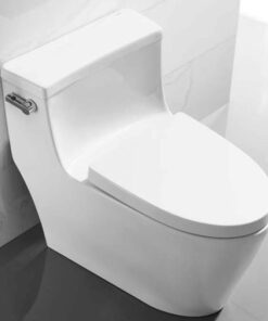 Ảnh thực tế bồn cầu 1 khối Iconic Hafele 588.79.401