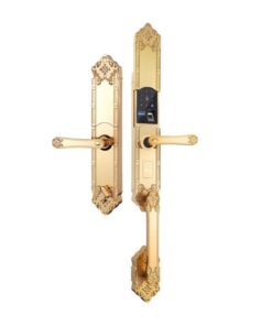 Khóa cửa điện tử đại sảnh - biệt thự Demax SL819 Gold - APP WIFI