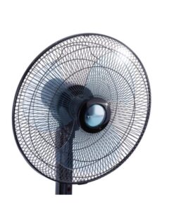 Hình ảnh quạt cây Tiross TS9183