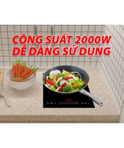 Hình ảnh bếp từ đơn Lorca TA 1018 PLus