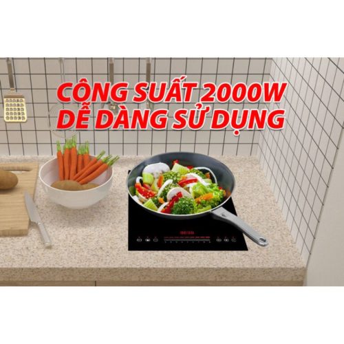 Hình ảnh bếp từ đơn Lorca TA 1018 PLus