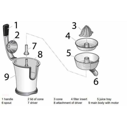 Kích thước máy vắt cam Caso CP300