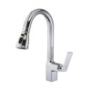 voi rua bat henry hr v843
