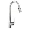 voi rua bat henry hr v844