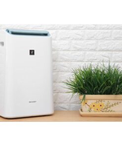 Ảnh máy lọc không khí và hút ẩm Sharp DW-E16FA-W