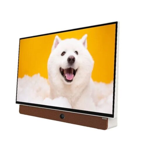 Tivi Google Xách Tay Di Động Full HD 24 Inch Coocaa 24LP6000G (Tay Cầm Da) - Ảnh 2
