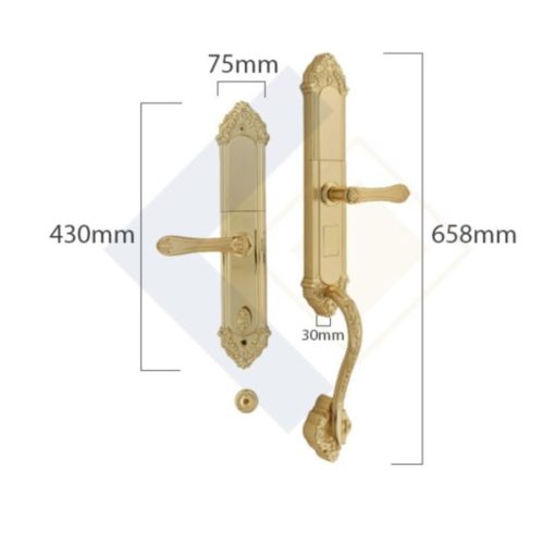 Khóa thông minh Faster FS019-24K - Ảnh 4