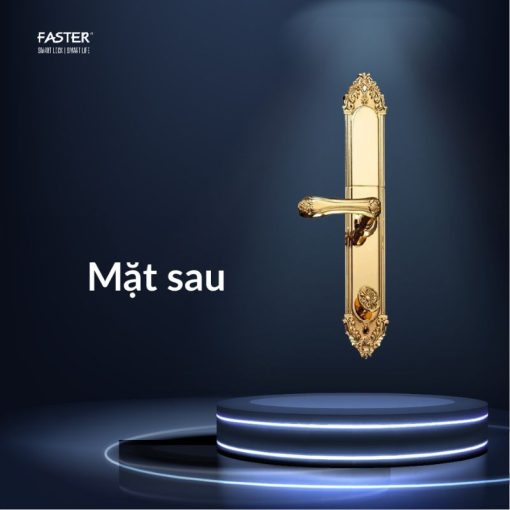 Khóa thông minh Faster FS019-24K - Ảnh 3