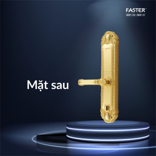 Khóa thông minh Faster FS039-1-24K - Ảnh 3
