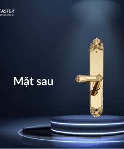 mat sau khoa thong minh faster fs119 24k app