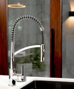 anh voi rua bat wasserwerk wk 3 chrome with spiral spring 700550