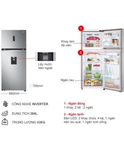 ben trong tu lanh 2 canh inverter 394 lit lg gn d392psa