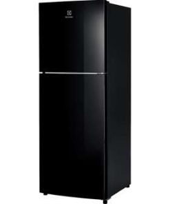 Tủ lạnh Electrolux ETB2502J-H