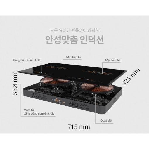 Bếp từ đôi Hawonkoo CEH-208-II lắp âm - Hình ảnh 4