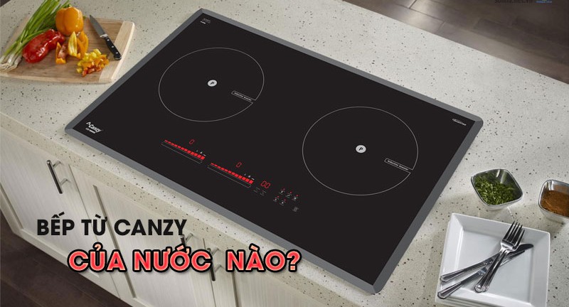 Bếp từ Canzy có tốt không? 1 Bếp từ Canzy của nước nào
