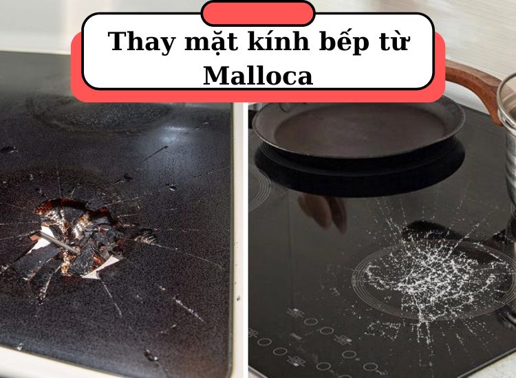 Có thay mặt kính bếp từ Malloca được không
