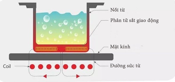 Nguyên lý hoạt động của bếp từ Eurosun