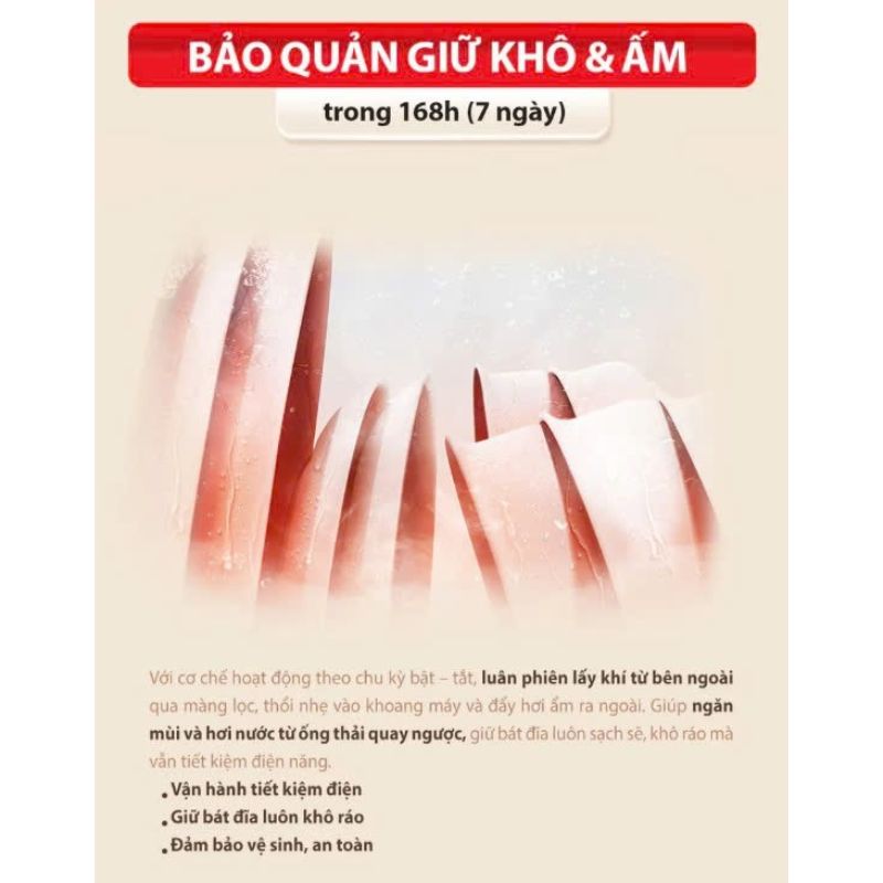 bao quan may rua chen toshiba dw 15f7g vn