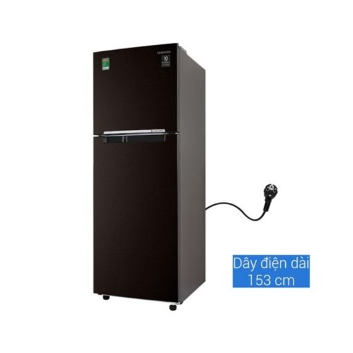 Tủ lạnh Samsung Inverter 236 lít RT22M4032BY/SV - Ảnh 3