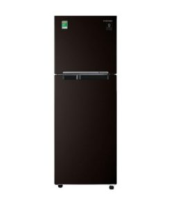 Tủ lạnh Samsung Inverter 236 lít RT22M4032BY/SV