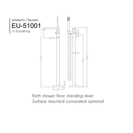 Vòi sen tắm gắn bồn EuroKing EU-51001 - Ảnh 2