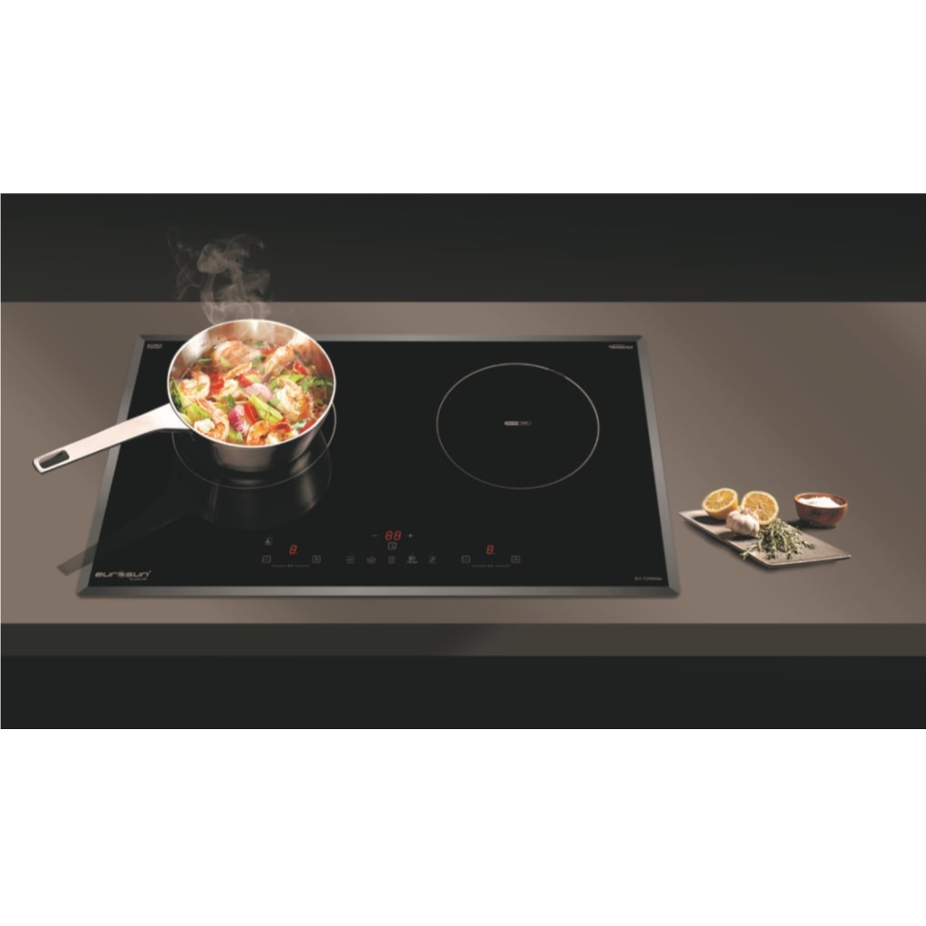 Bếp từ 2 vùng nấu Eurosun EU-T256Max 5 Bếp từ 2 vùng nấu Eurosun EU-T256Max - Ảnh 4