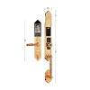 10069 938 gold 768x566 optimized