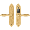 el35024kgoldn 1 768x768 optimized